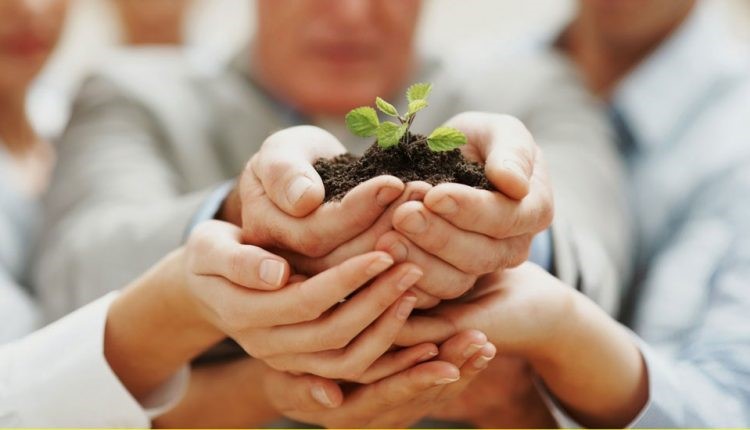 کسب و کار های موفق خانوادگی